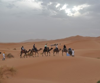 Morocco camel trek