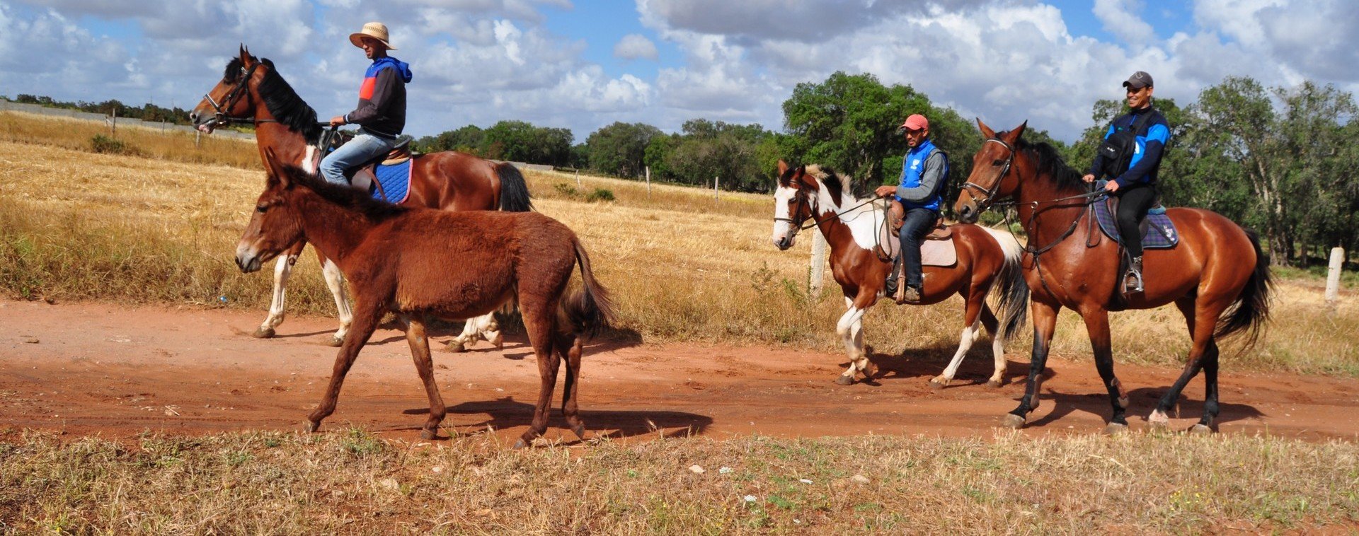 Morocco Horse Back Riding Tour